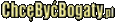 ebiznes